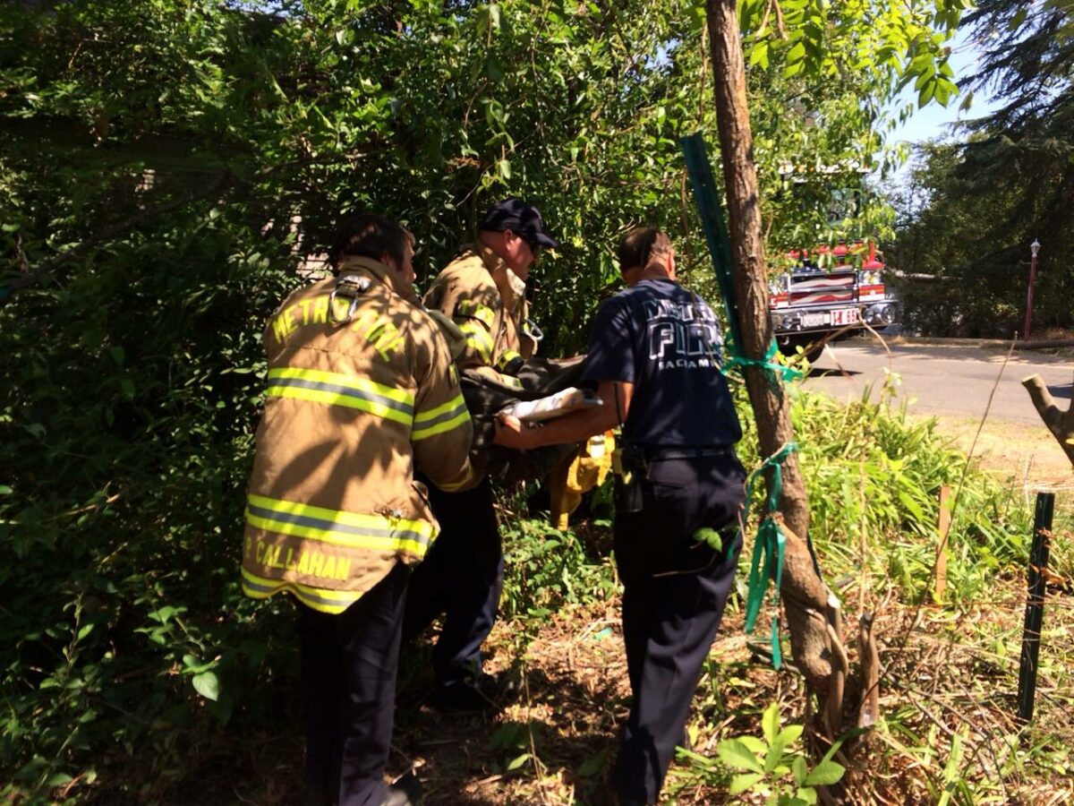 Photo courtesy of Sacramento Metropolitan Fire District