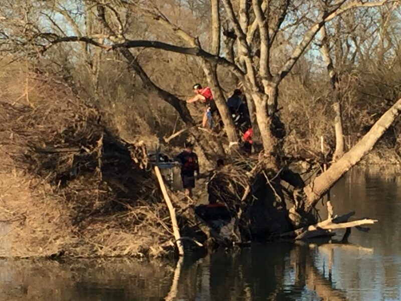 Man stuck up tree surrounded by water, firefighters attempting rescue